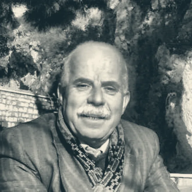 أحمد زياد محبك