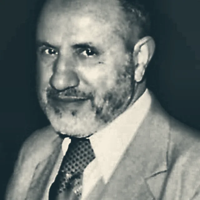 شكرى فيصل